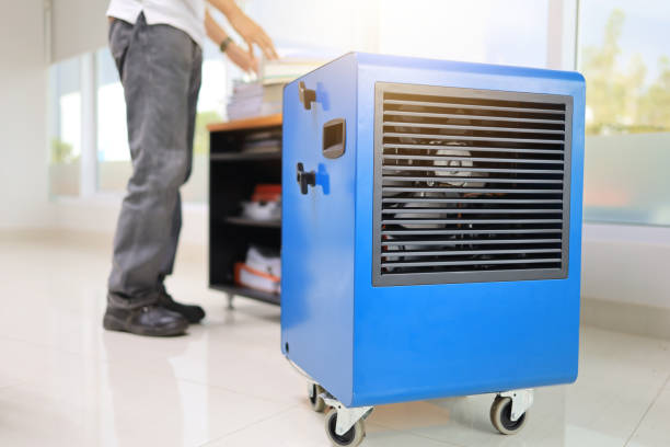 Best Dehumidification Services  in Kewanee, IL