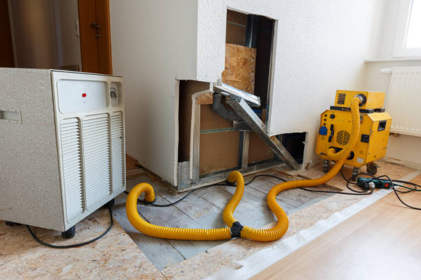 Best Mold Prevention Services  in Kewanee, IL